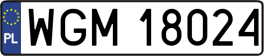 WGM18024