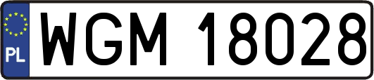 WGM18028
