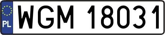 WGM18031