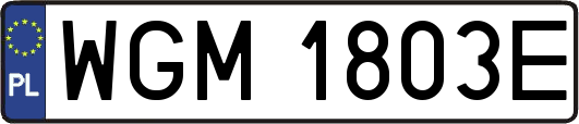 WGM1803E
