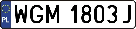 WGM1803J