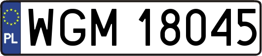WGM18045