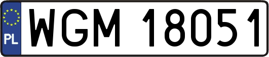 WGM18051
