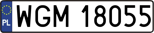 WGM18055
