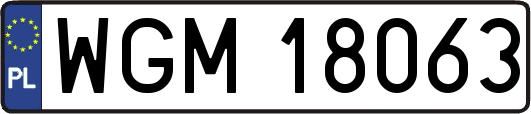WGM18063