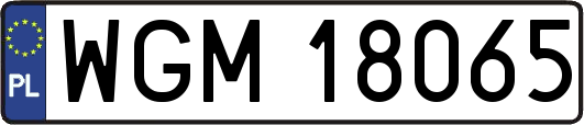 WGM18065