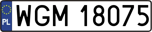 WGM18075