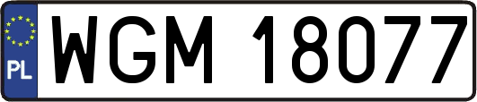 WGM18077