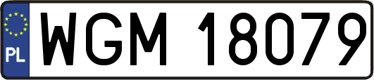 WGM18079