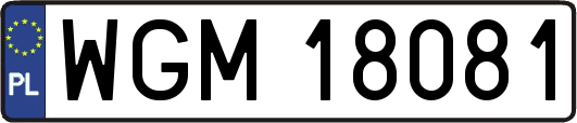 WGM18081