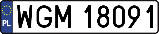 WGM18091