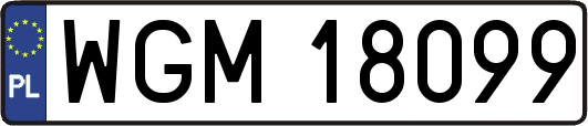 WGM18099