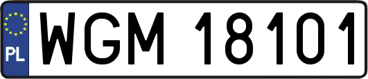 WGM18101