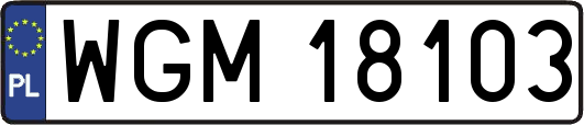 WGM18103