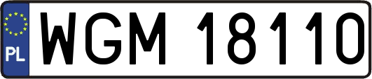 WGM18110