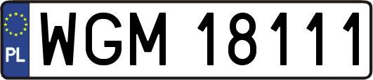 WGM18111