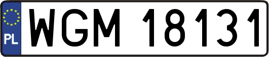 WGM18131