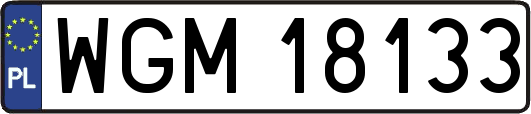 WGM18133
