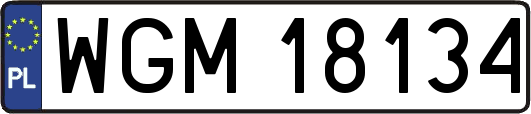 WGM18134