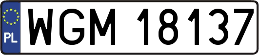 WGM18137
