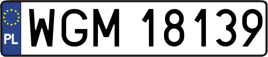 WGM18139