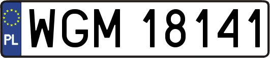 WGM18141