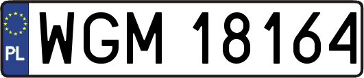 WGM18164