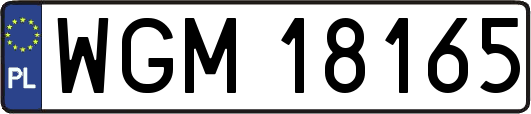 WGM18165