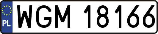 WGM18166
