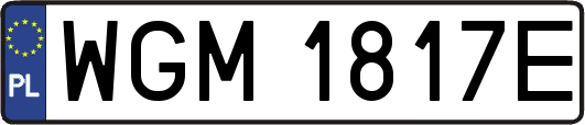 WGM1817E