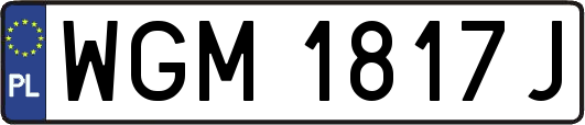 WGM1817J