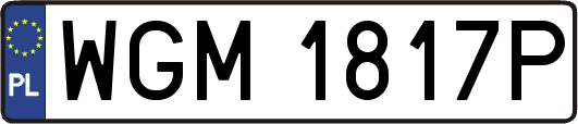 WGM1817P