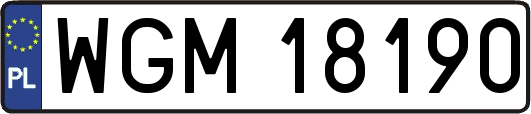WGM18190