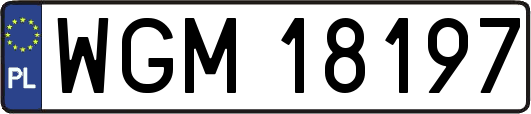 WGM18197