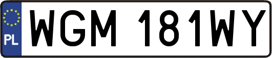 WGM181WY