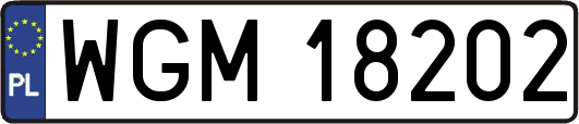 WGM18202