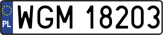 WGM18203