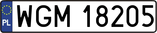 WGM18205