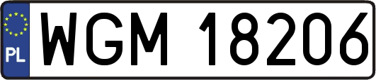 WGM18206