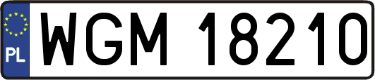 WGM18210