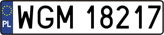 WGM18217