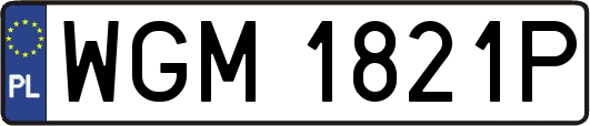 WGM1821P