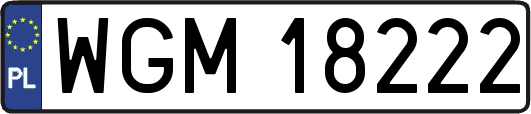 WGM18222