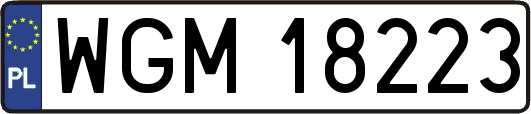 WGM18223