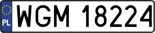 WGM18224