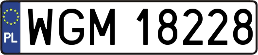 WGM18228