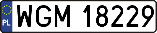 WGM18229