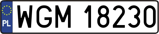 WGM18230