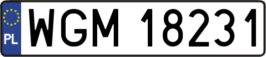WGM18231