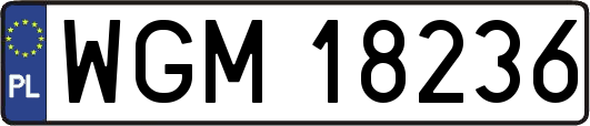 WGM18236